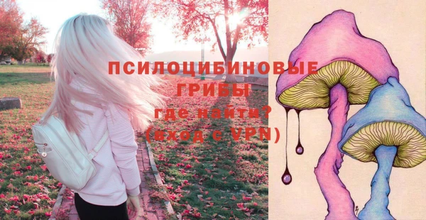 Альфа ПВП Арсеньев
