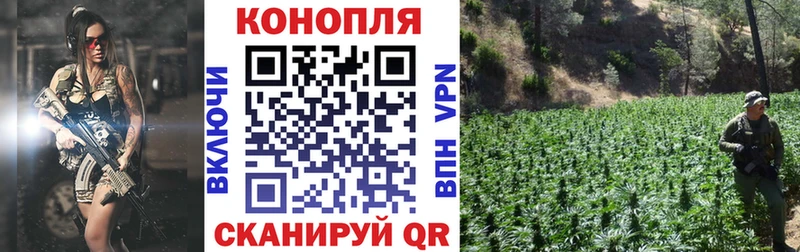 блэк спрут как войти  Салехард  Марихуана марихуана 