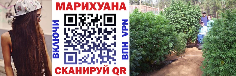 Конопля индика Салехард